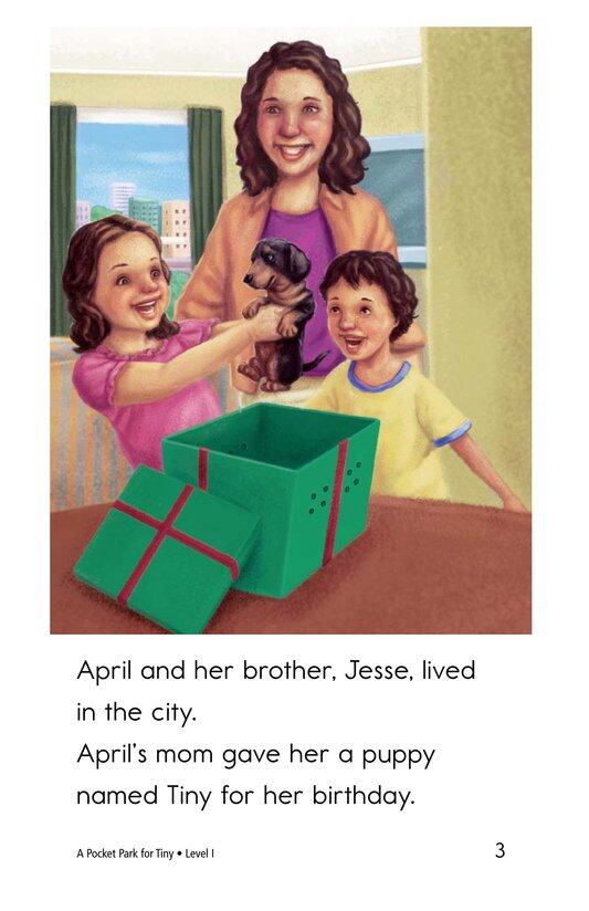 A Pocket Park for Tiny绘本故事第3页