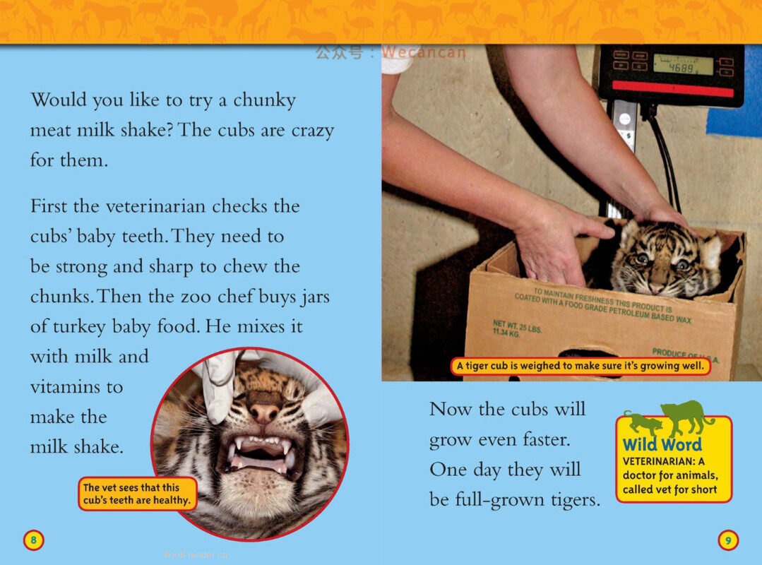 Saving Animal Babies绘本故事第5页