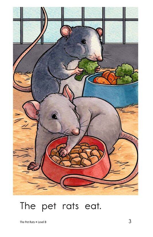 The Pet Rats绘本故事第3页
