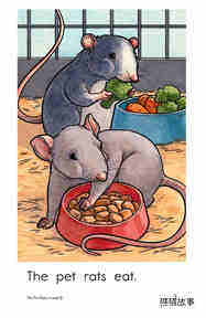 The Pet Rats绘本故事第3页
