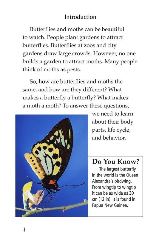 Butterflies and Moths绘本故事第3页
