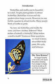 Butterflies and Moths绘本故事第3页