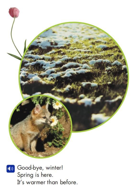 Seasons Change绘本故事第4页