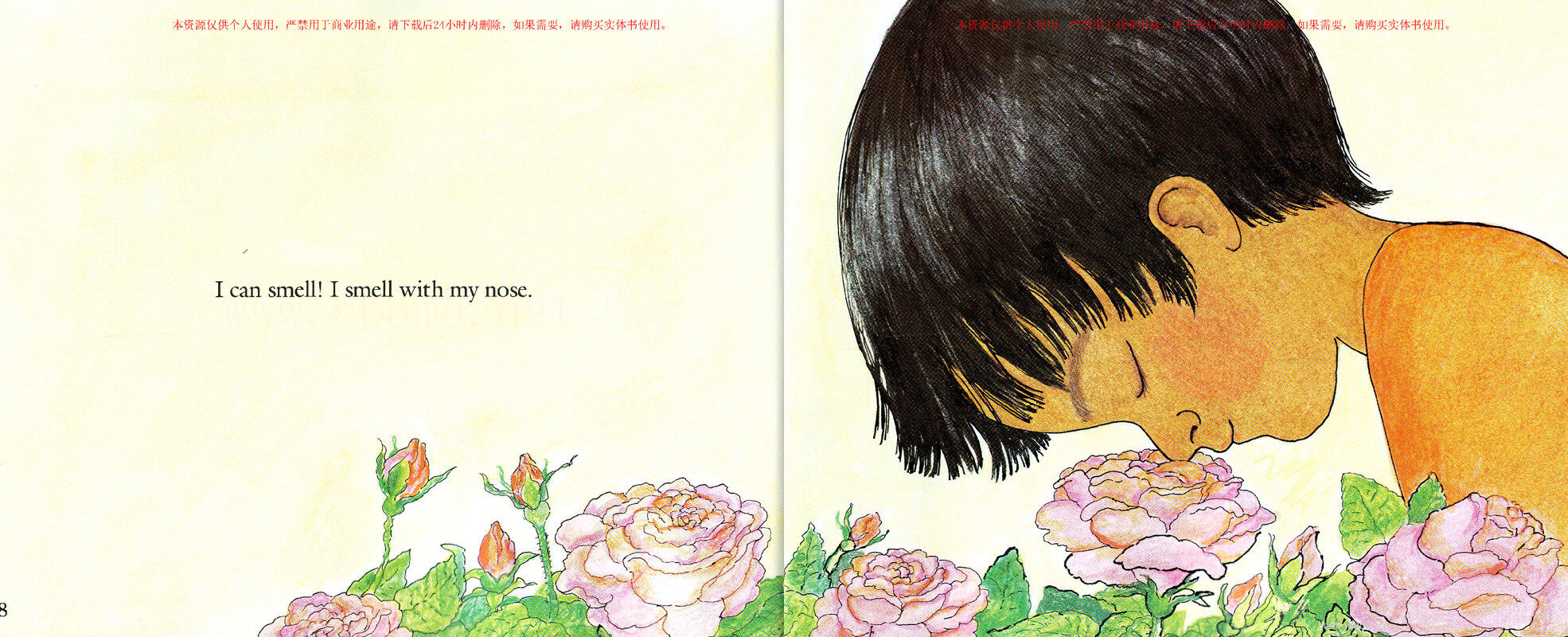 My Five Senses绘本故事第5页