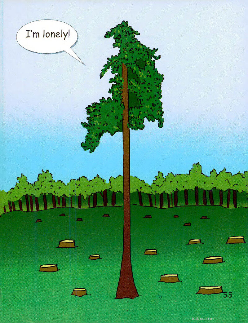 A Big Lonely Tree绘本故事第3页
