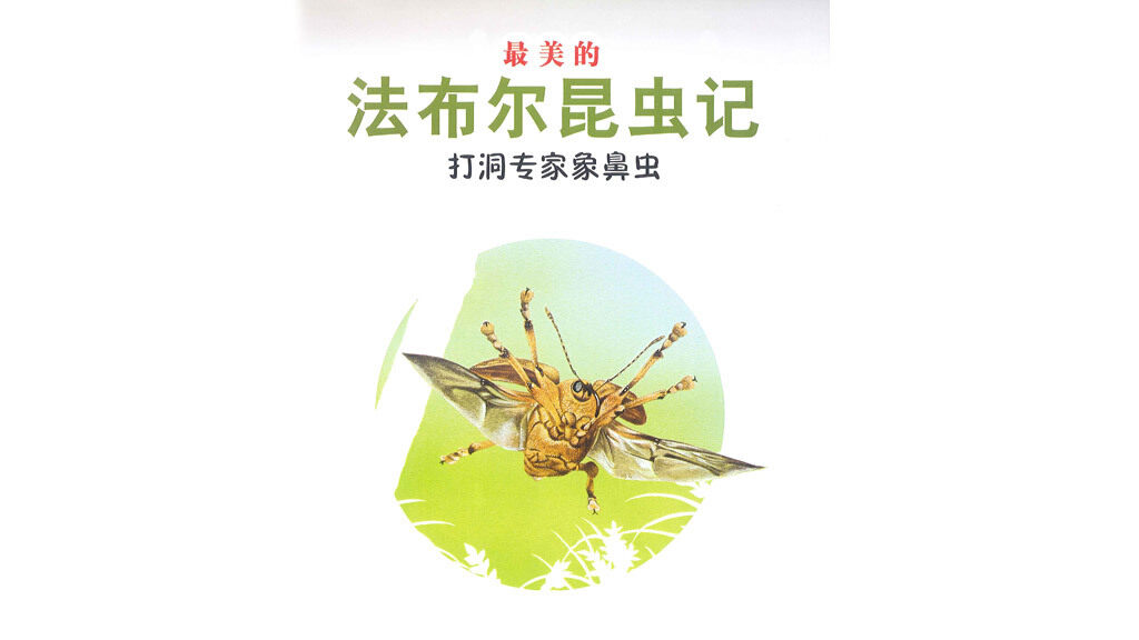 打洞专家象鼻虫绘本故事第2页