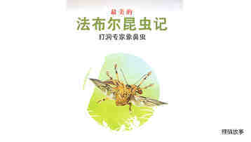 打洞专家象鼻虫绘本故事第2页