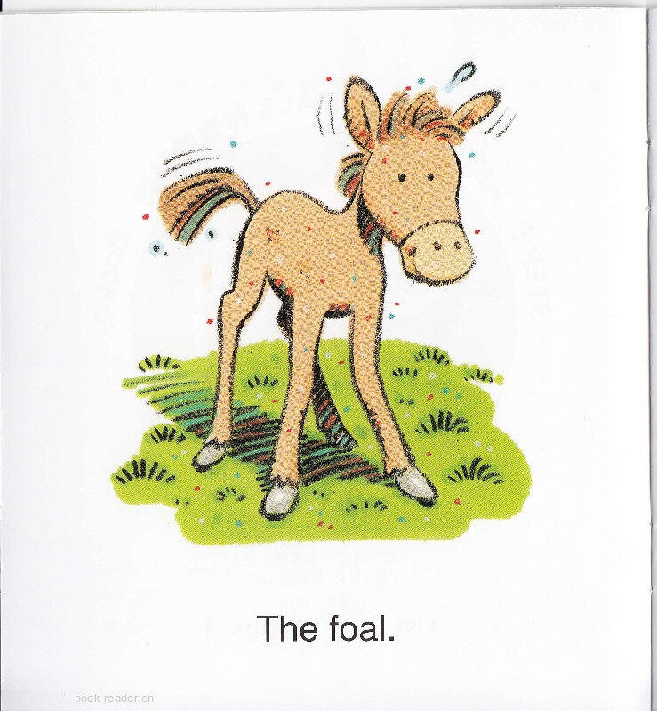 Whoa Foal!绘本故事第3页