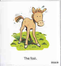 Whoa Foal!绘本故事第3页