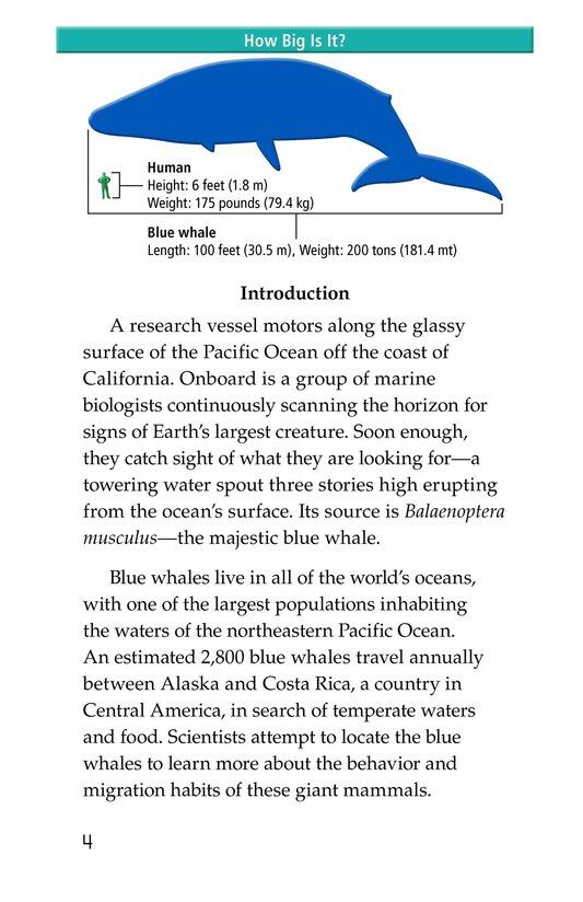 Blue Whales Giant Mammals绘本故事第3页