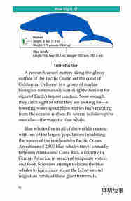 Blue Whales Giant Mammals绘本故事第3页