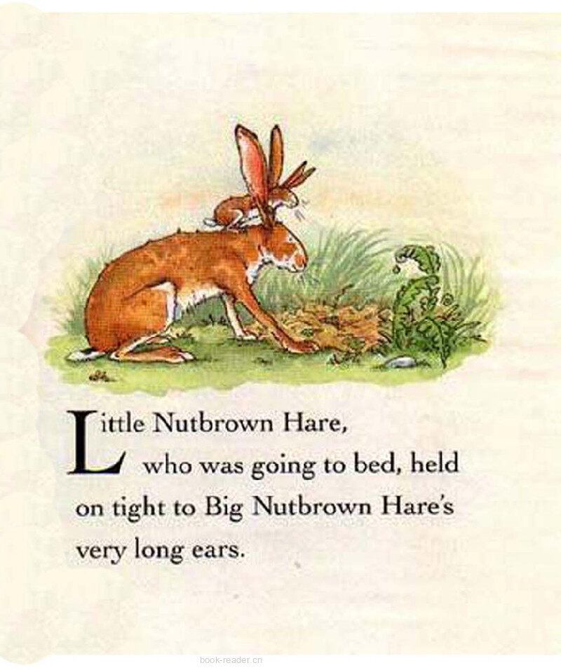 Guess How Much I Love You绘本故事第3页