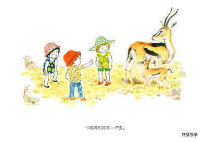 草原上的朋友们绘本故事第3页