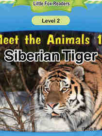 Siberian Tiger