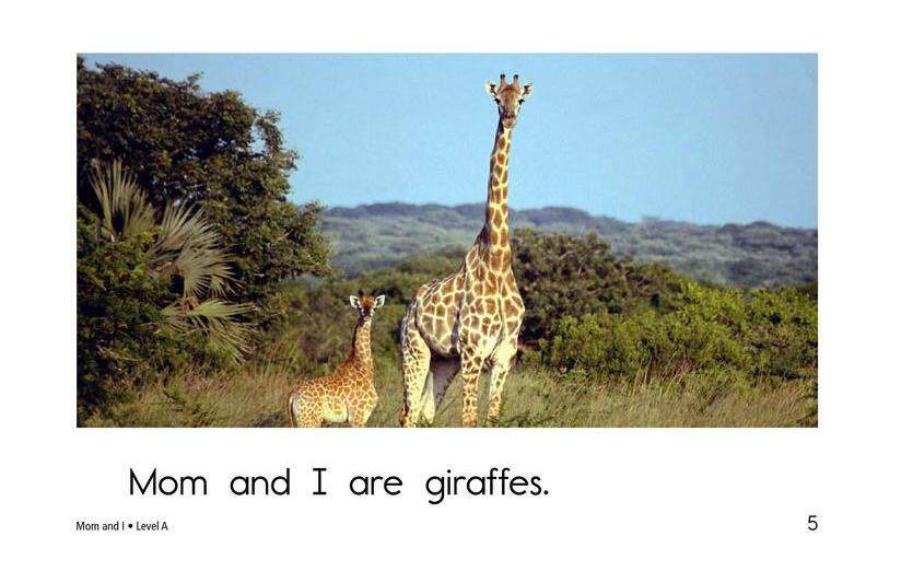 Mom and I绘本故事第5页