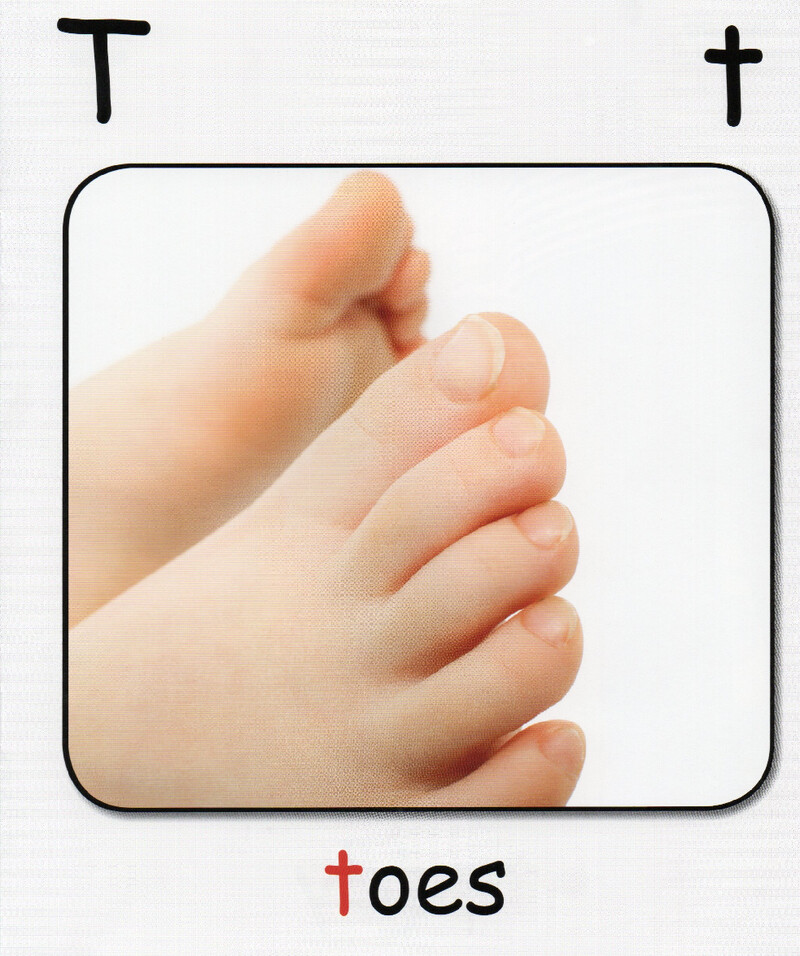 T绘本故事第5页