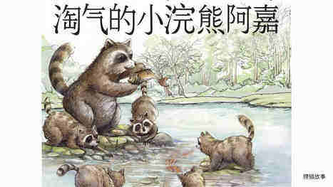 淘气的小浣熊阿嘉绘本故事第2页