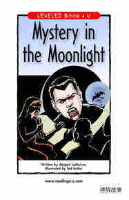 Mystery in the Moonlight