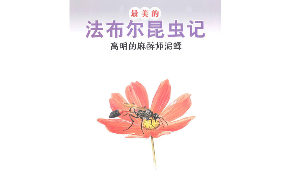 高明的麻醉师泥蜂绘本故事第2页