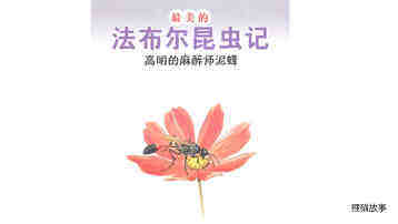 高明的麻醉师泥蜂绘本故事第2页