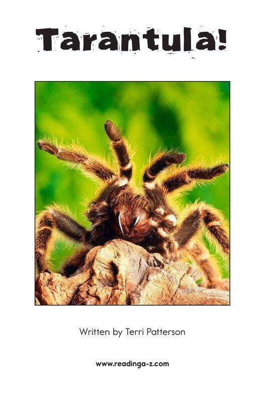 Tarantula!绘本故事第2页