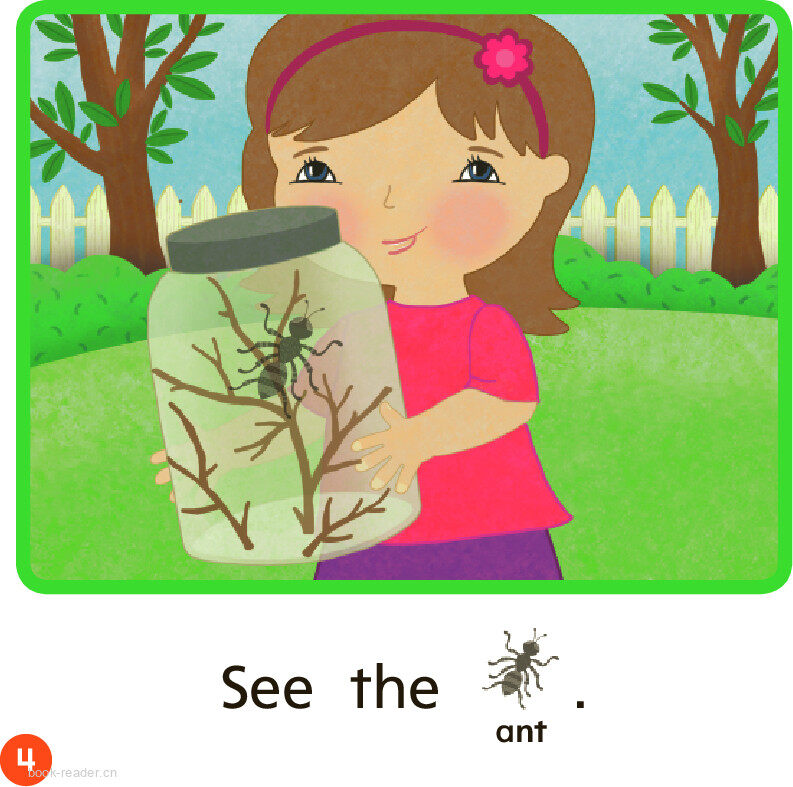 GK Approach U02W3 We Like Bugs!绘本故事第5页