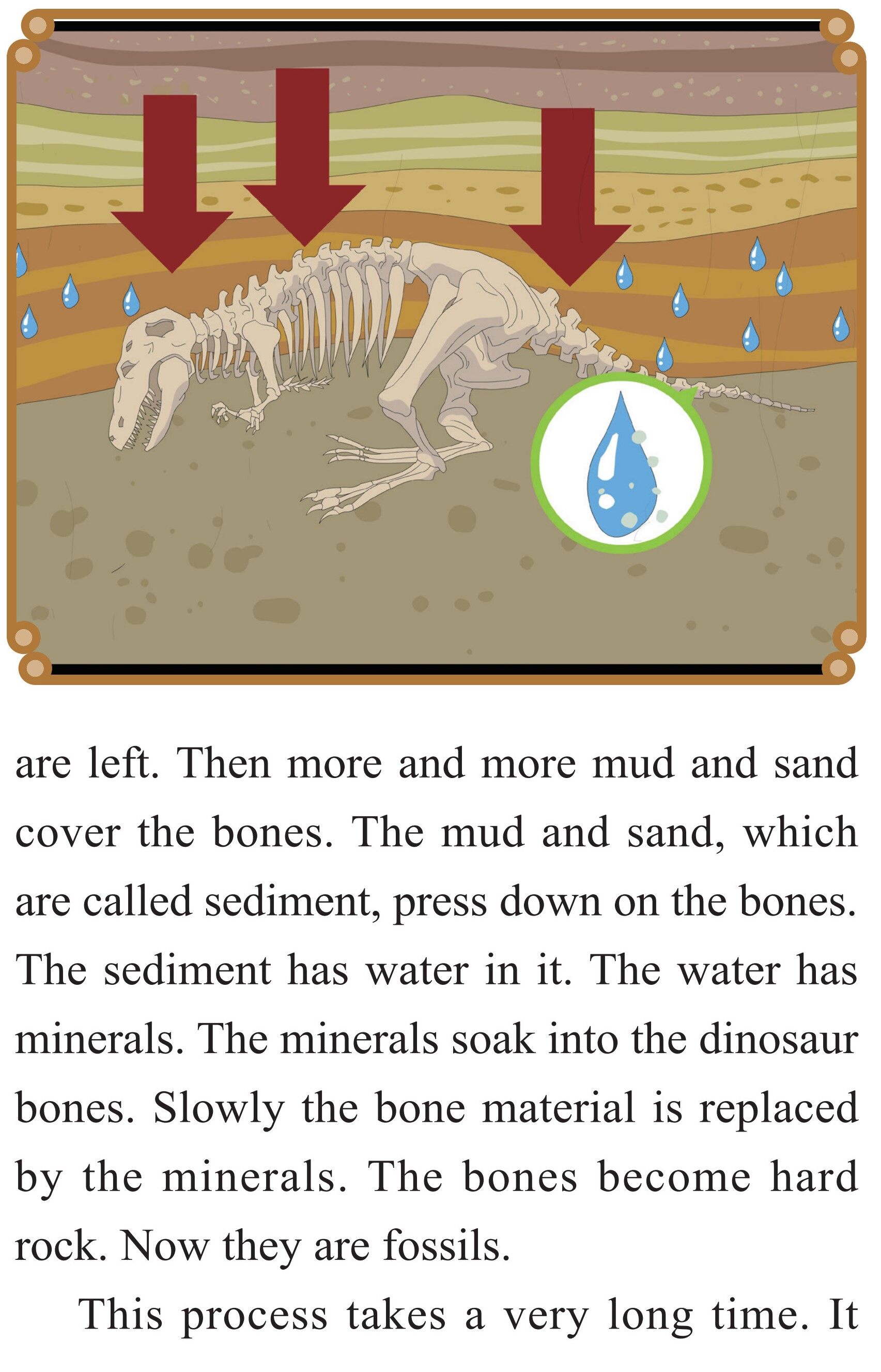 The World of Fossils绘本故事第5页