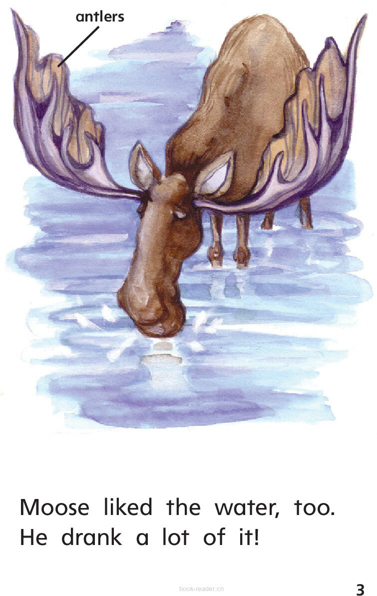 G1 ELL U4W1 Fly to the Rescue!绘本故事第5页