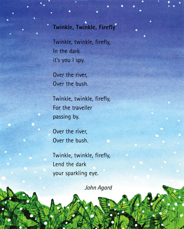 Twinkle Twinkle FireFly绘本故事第3页