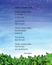 Twinkle Twinkle FireFly绘本故事第3页