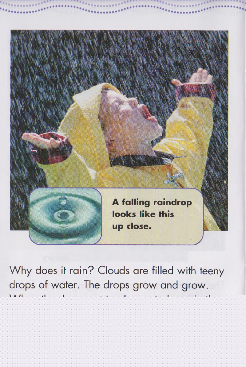 Weather绘本故事第5页