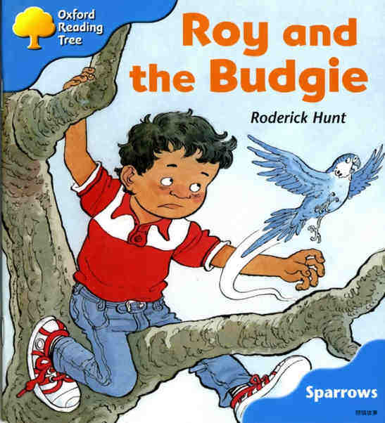 Roy and the Budgie