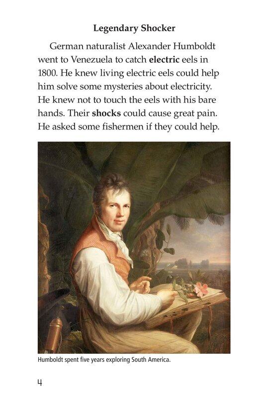 Electric Eels!绘本故事第3页