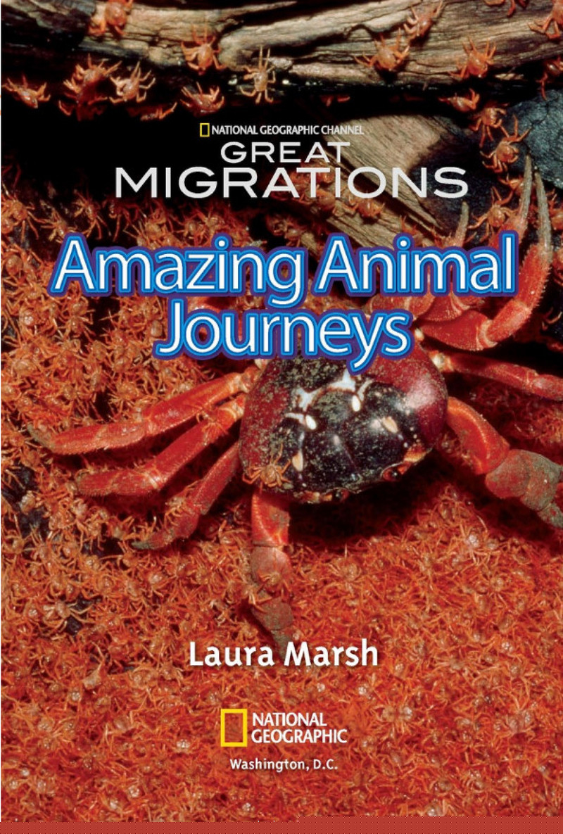 Amazing Animal Journeys绘本故事第2页