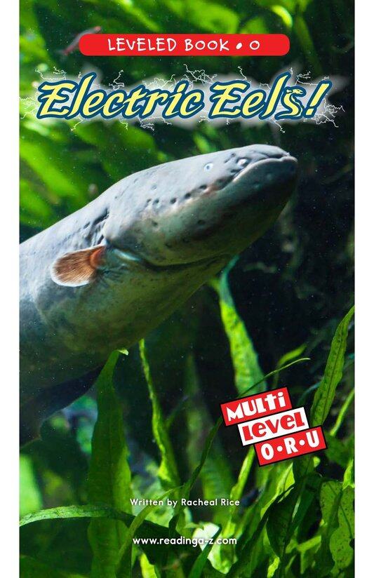 Electric Eels!绘本故事第2页